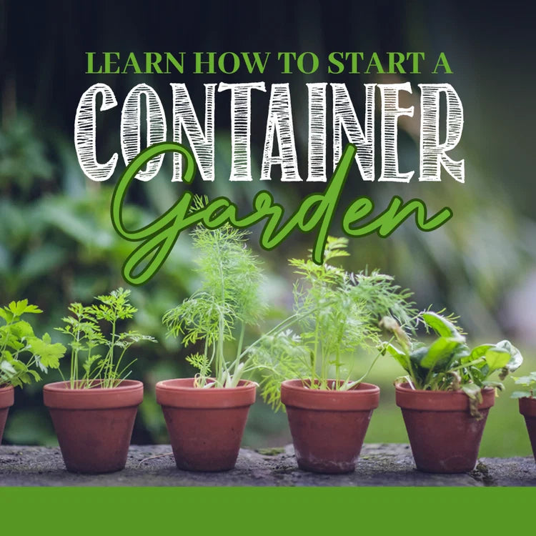 Container Garden Class + Free Master Canning Class