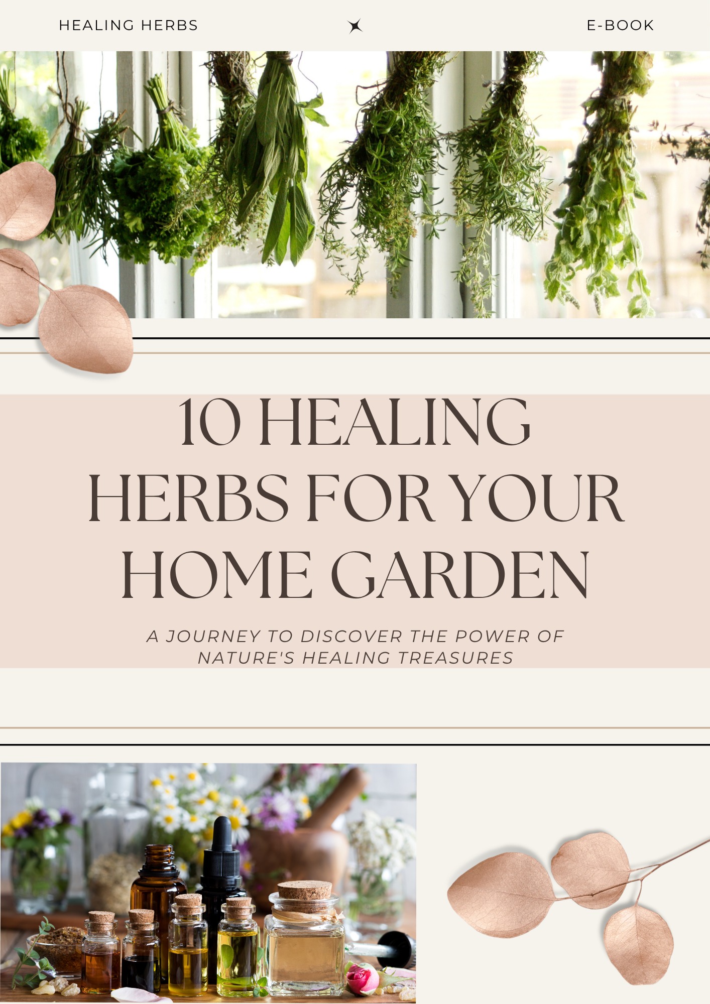 Free Herb Guide: 10 Healing Herbs for Your Home Garden